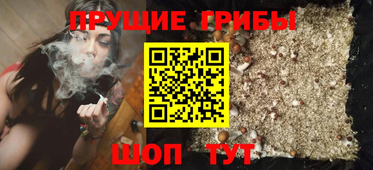 Ярославль  хочу   Галлюциногенные грибы ЛСД  Вход с VPN  Псилоцибиновые грибы Magic Shrooms 