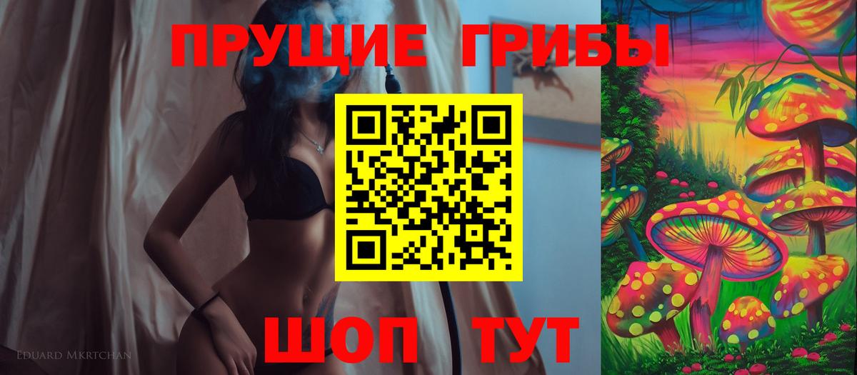 Псилоцибиновые грибы Psilocybine cubensis Ярославль